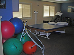 Multiple Therapy Areas